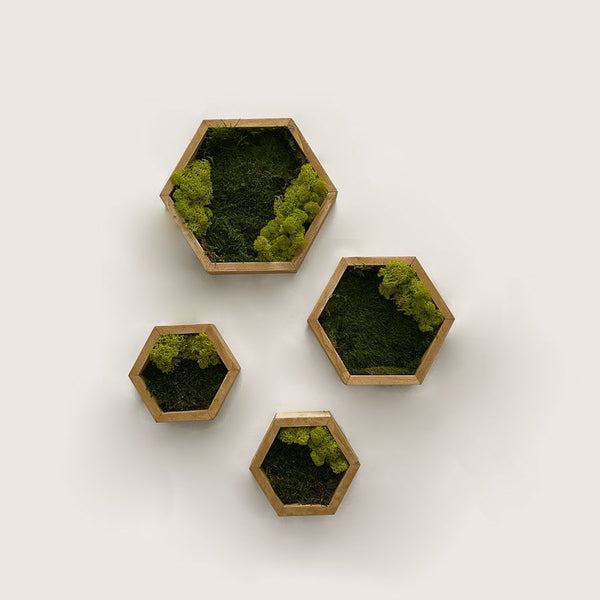 Ensemble d'hexagones en mousse par Fhygge